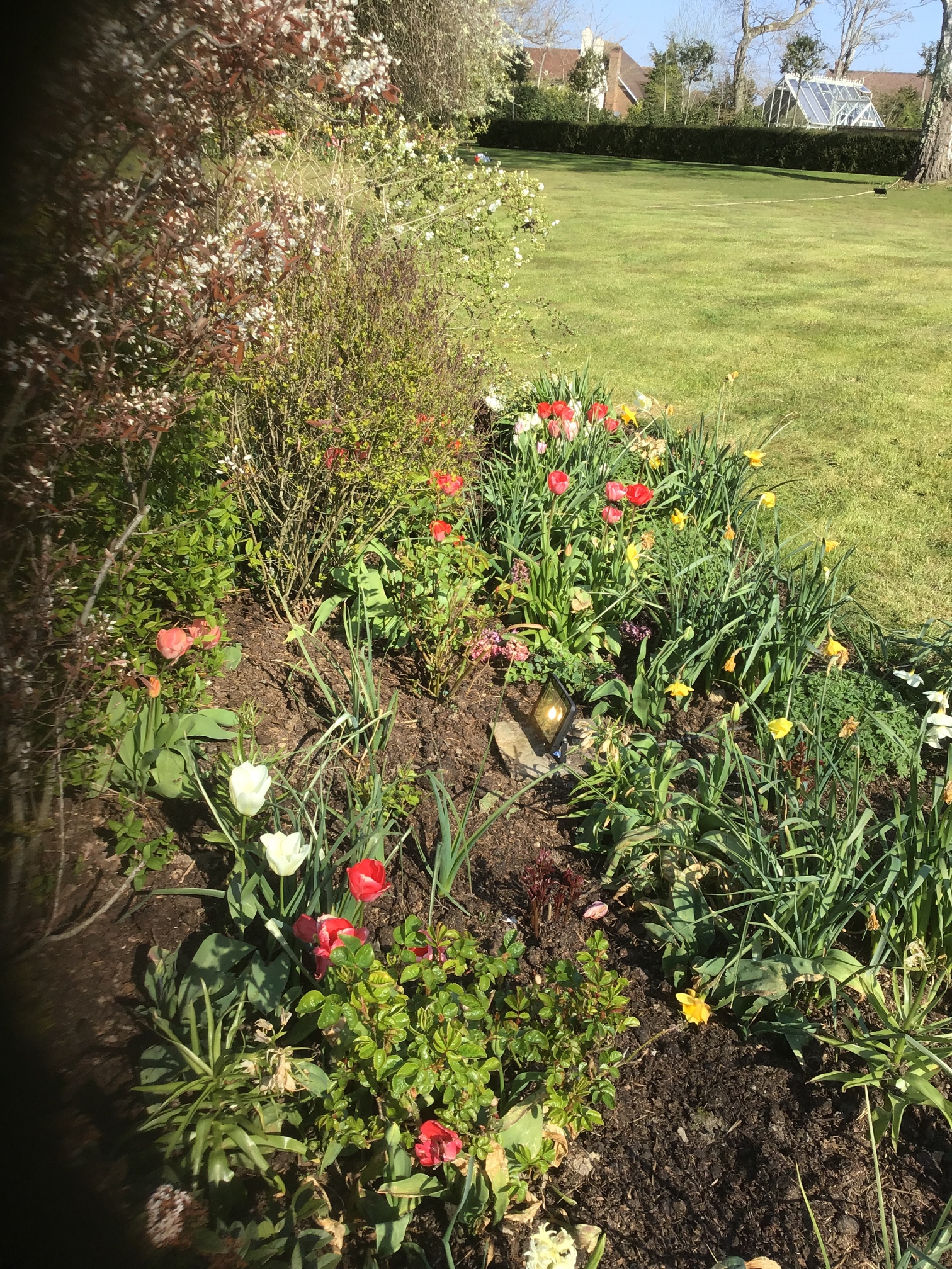 Spot lights in Garden